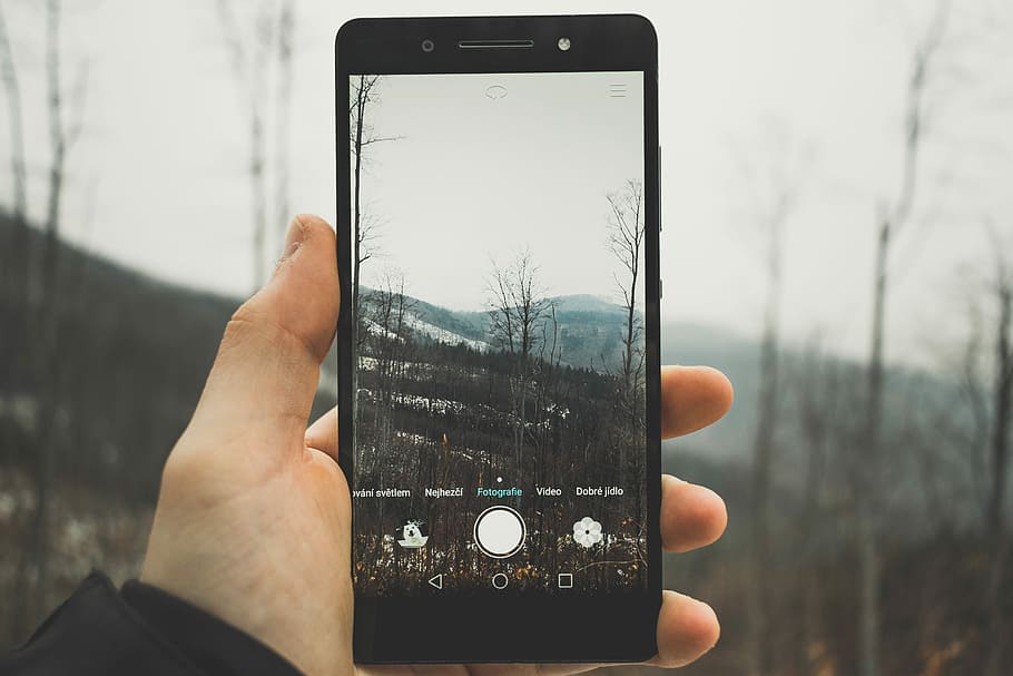 person holding black Android smartphone taking picture to bare trees, person using smartphone to take photo of landscape HD wallpaper
