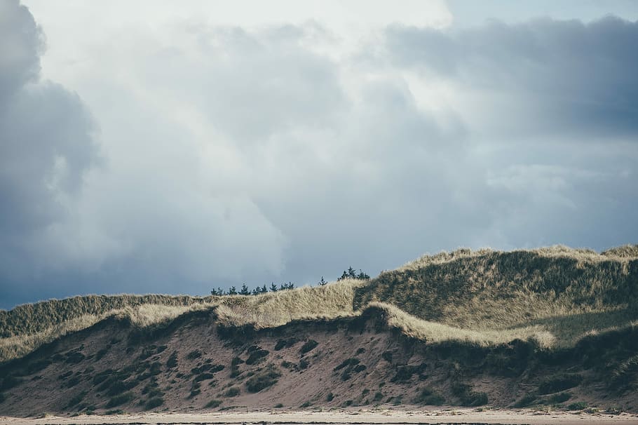 brown hill on cloudy day, blue, grass, gray, landscapes, Tan HD wallpaper