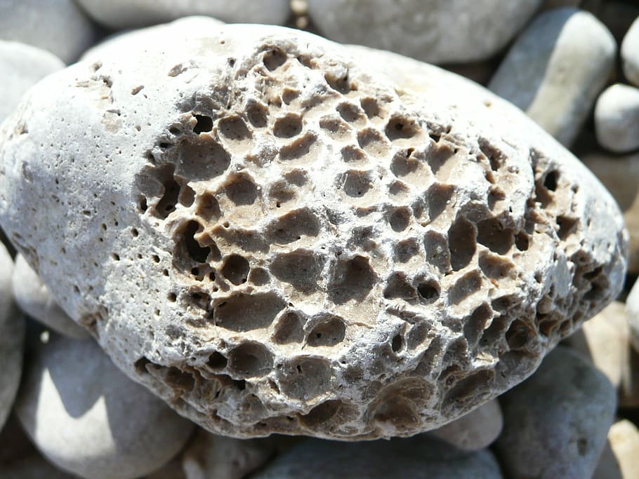 Stone, Pebble, Erosion, close-up, textured, no people, honeycomb HD wallpaper