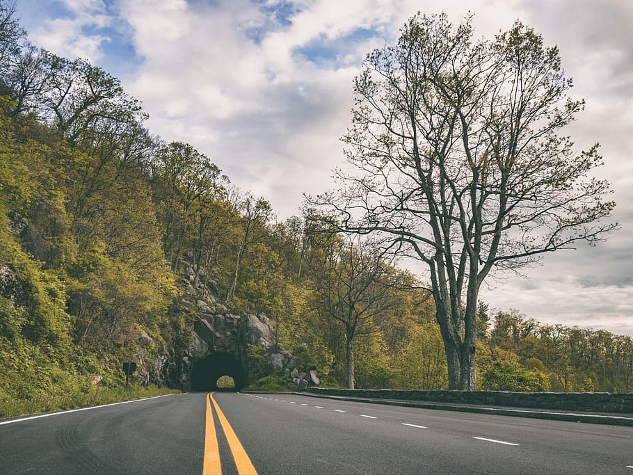 asphalt, clouds, road, sky, trees, tunnel, woods, plant, transportation HD wallpaper