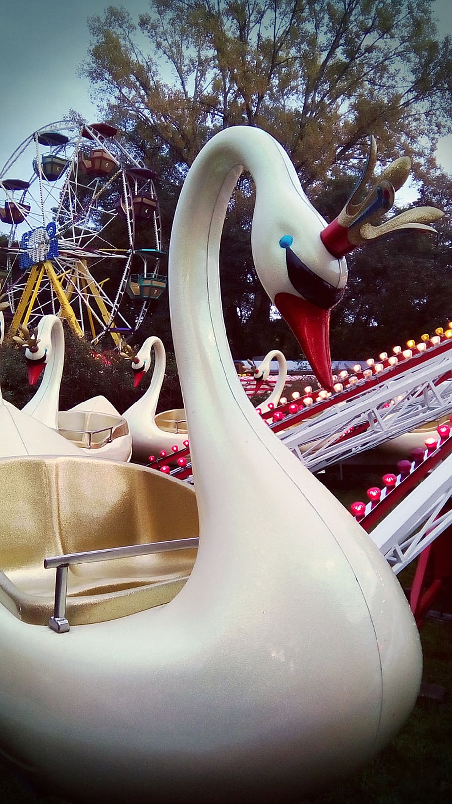 swan, roundabouts, pilgrimage, attraction, amusement park, no people HD wallpaper