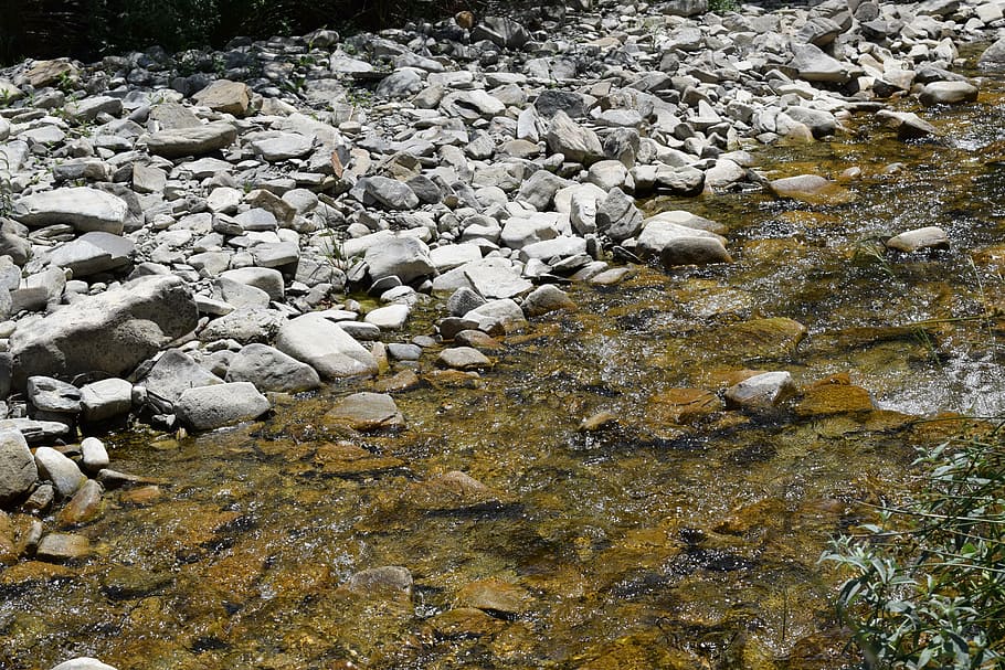 stones, water, river, forest, shore, nature, solid, rock, rock - object HD wallpaper
