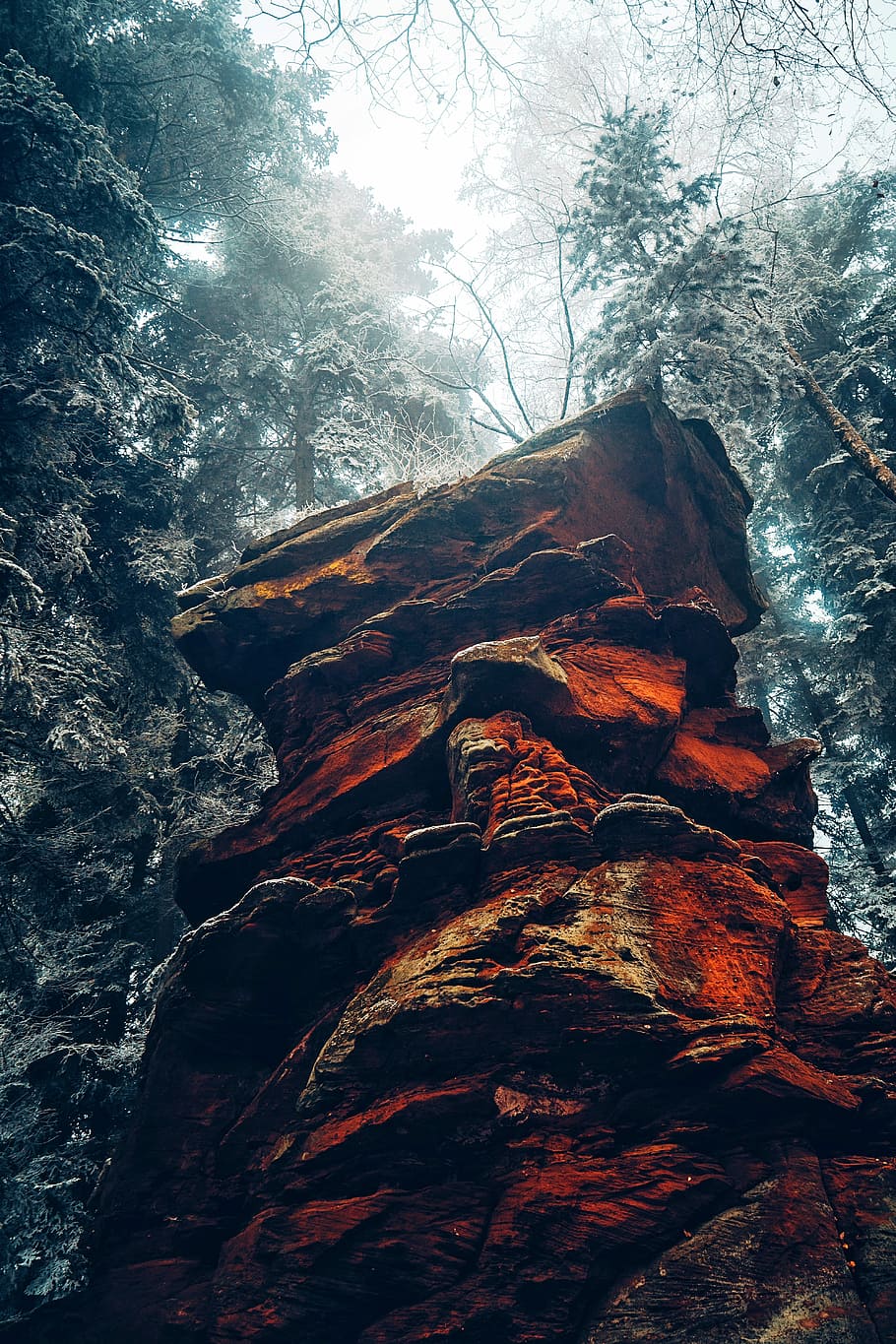 brown rock formation in forest, mountain, cliff, tree, woodland HD wallpaper