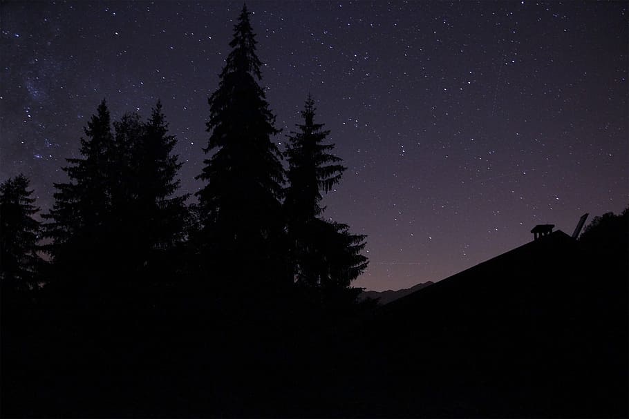 darkness, midnight, silhouette, sky, stars, tree, star - Space, HD wallpaper