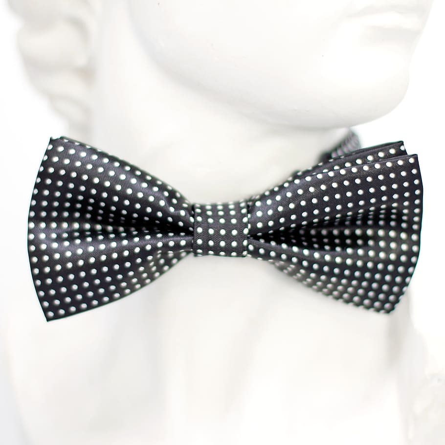 black and white polka-dot bow, points, fly, tie, loop, fashion