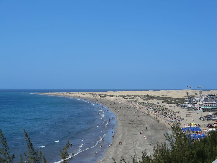 maspalomas, beach, dunes, sea, canary islands, landscape, spain, HD wallpaper