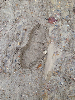 muddy, footprint, wet, nature, dirt, boot, hiking, outdoor HD wallpaper