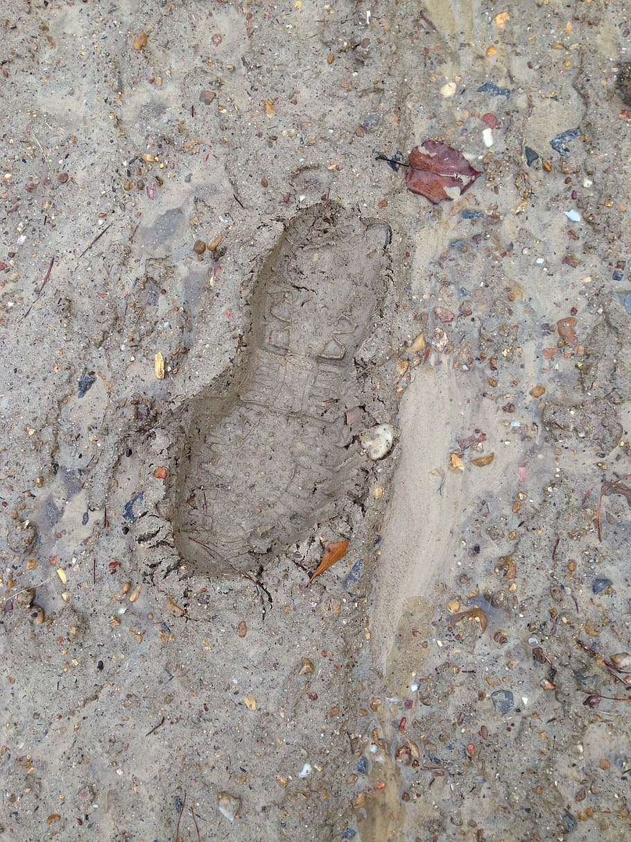 muddy, footprint, wet, nature, dirt, boot, hiking, outdoor