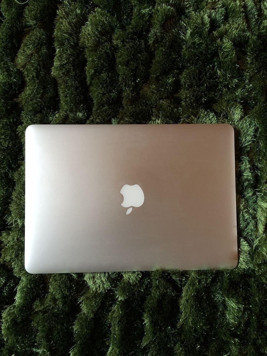 macbook, air, apple, design, plant, tree, no people, nature HD wallpaper