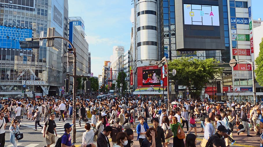 Tokyo square photograph, japan, shibuya, japanese, building, crowd, HD wallpaper