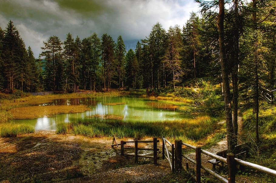 landscape photo of lake surrounded by trees, Lago, Bergsee, Dolomites