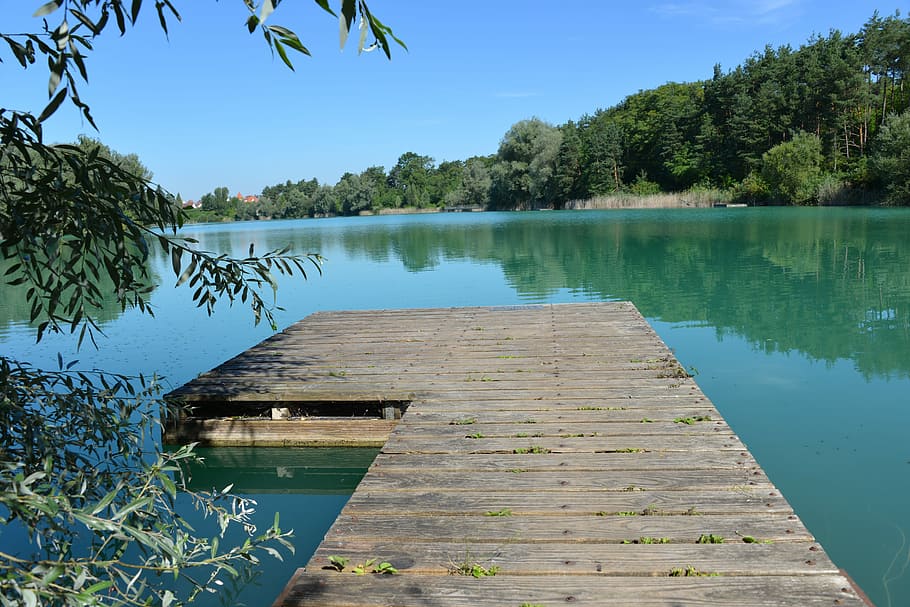brown wooden dock beside green trees under blue sky, water, web