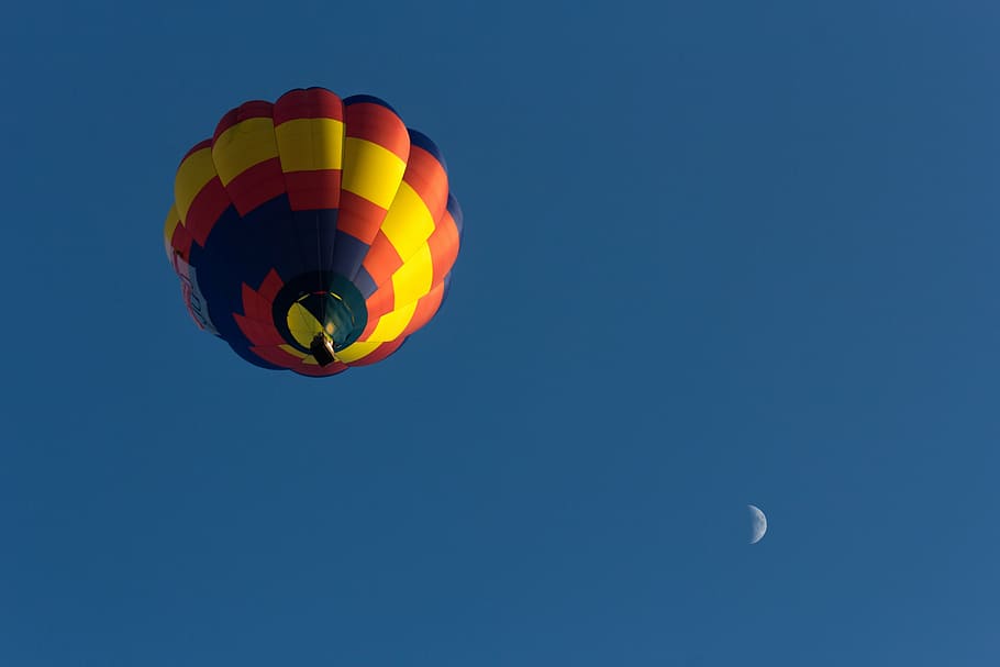 low angle photography of multicolored hot air balloon, colourful HD wallpaper