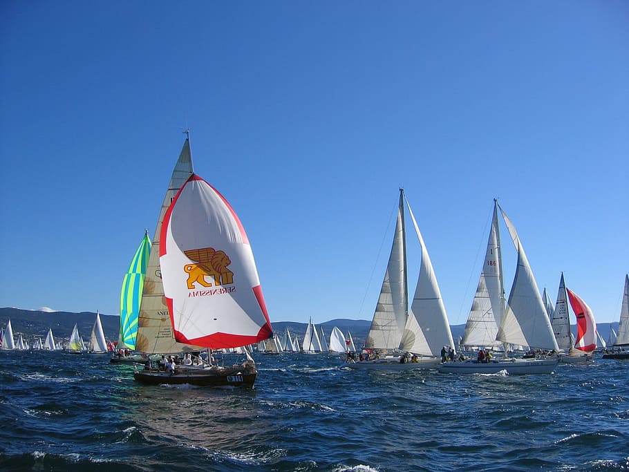 barcolana, wind, sails, sea, boat, nautical vessel, sailboat HD wallpaper