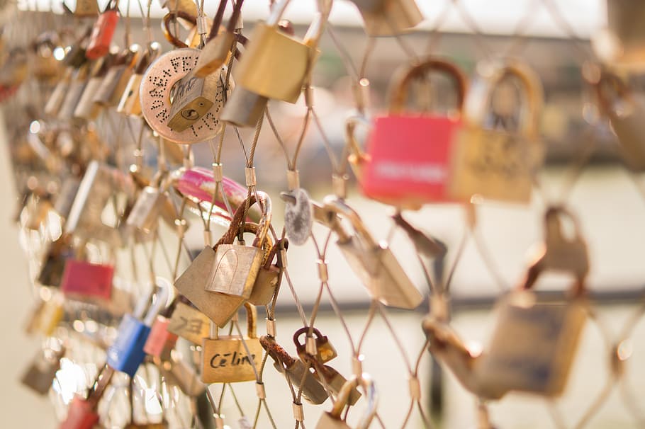 selective focus photography of padlocks on chain link fence HD wallpaper