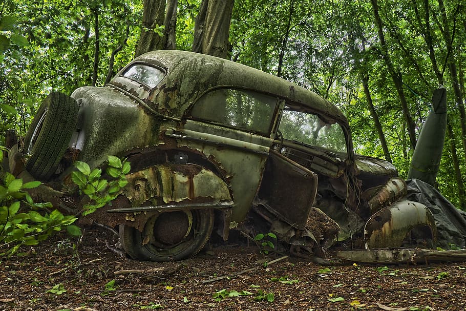 classic green vehicle on soil near forest, auto, car cemetery