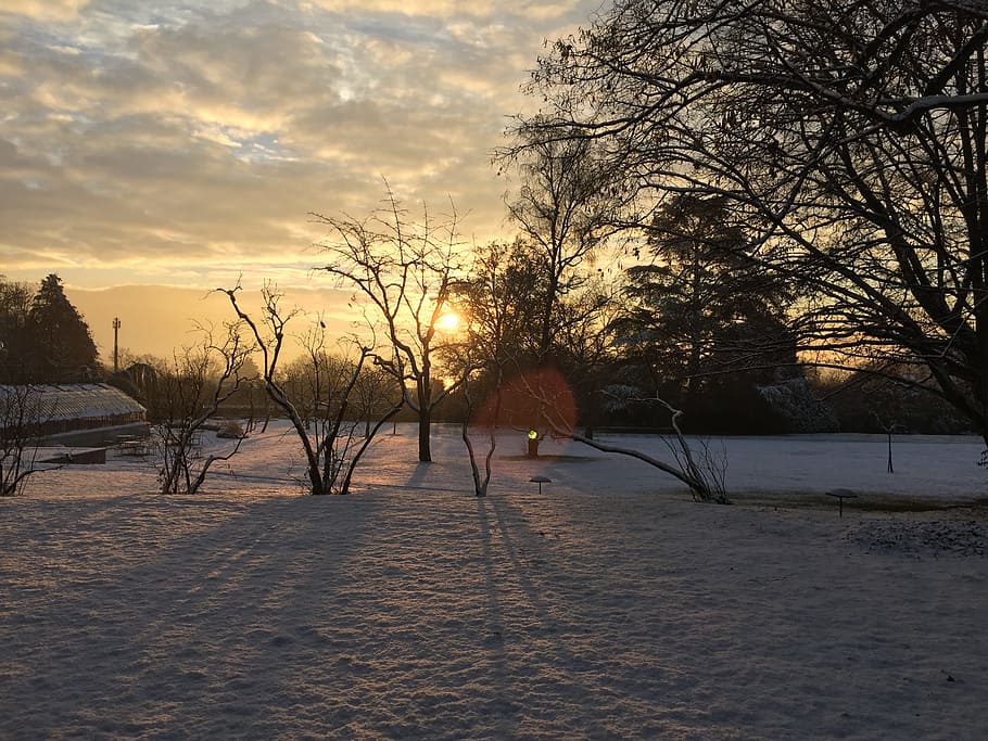 landscape, snow, winter landscape, tree, plant, sunset, sky HD wallpaper