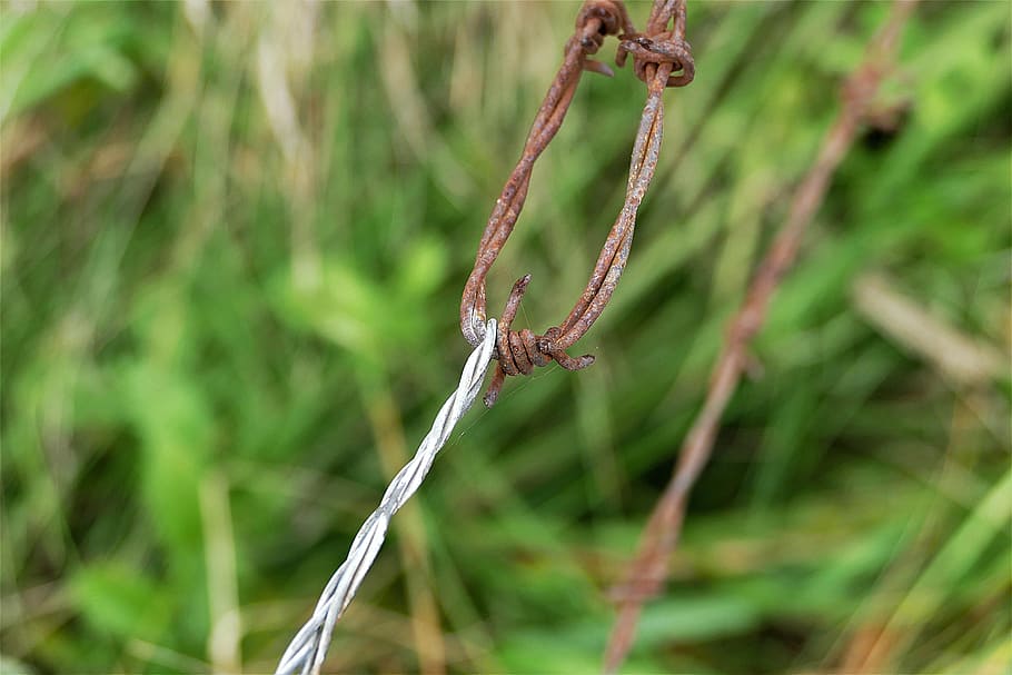 close up photo rusted barbwire, barbed wire, rusty, old, metal HD wallpaper
