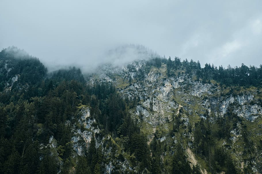 rock mountain with trees under white sky, cloudy sky in mountain HD wallpaper