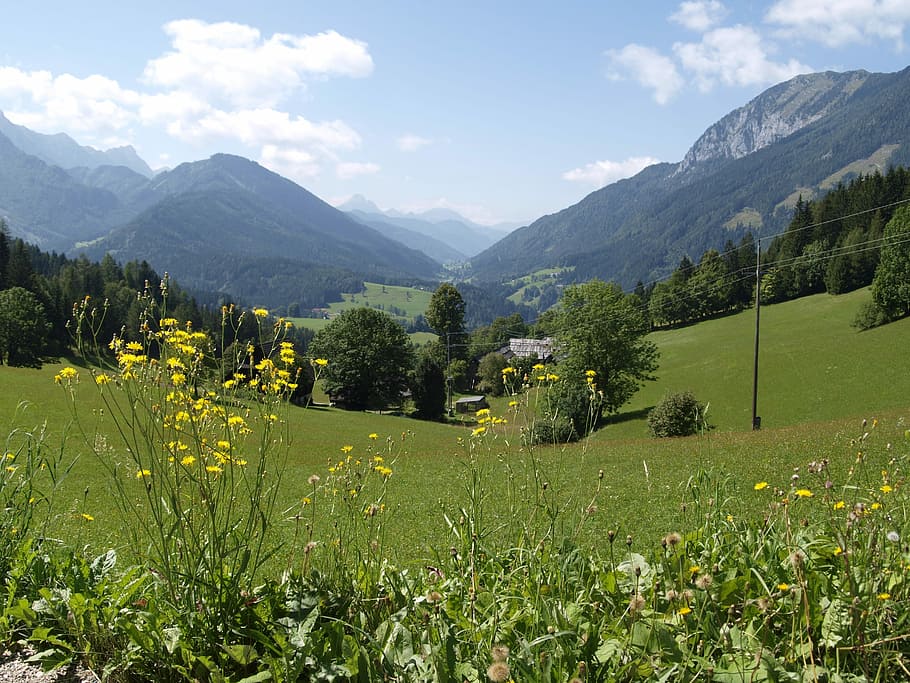 Nature, Mountains, Lake, Meadow, Grass, austria, moor, alm HD wallpaper