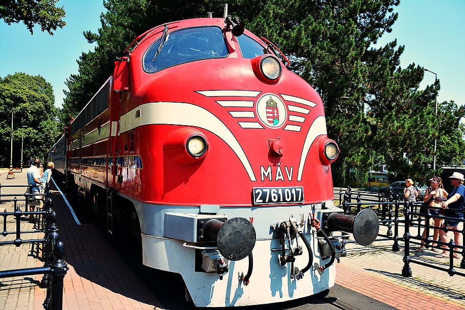 locomotive, train, rail, tree, transportation, mode of transportation HD wallpaper