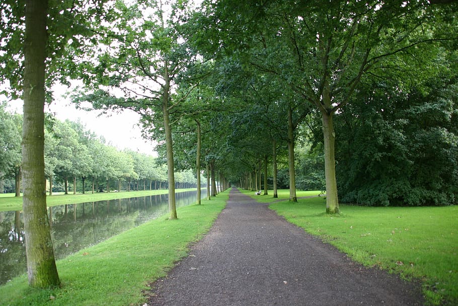 park, common, garden, bench, stroll, sunday, peace, nature HD wallpaper