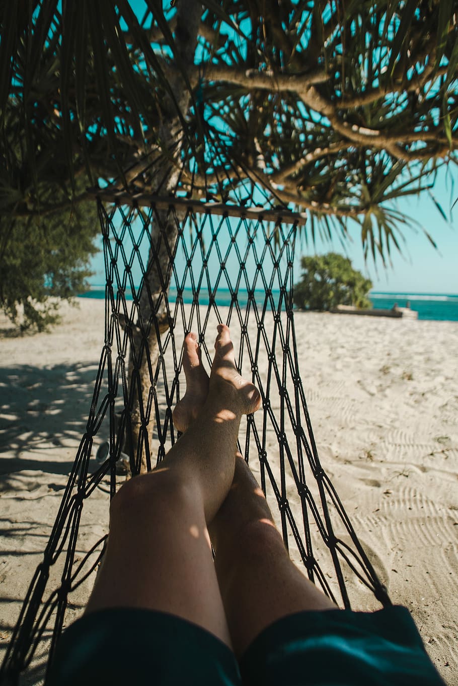 woman lying on the hammock, person lying on hammock, hanging HD wallpaper