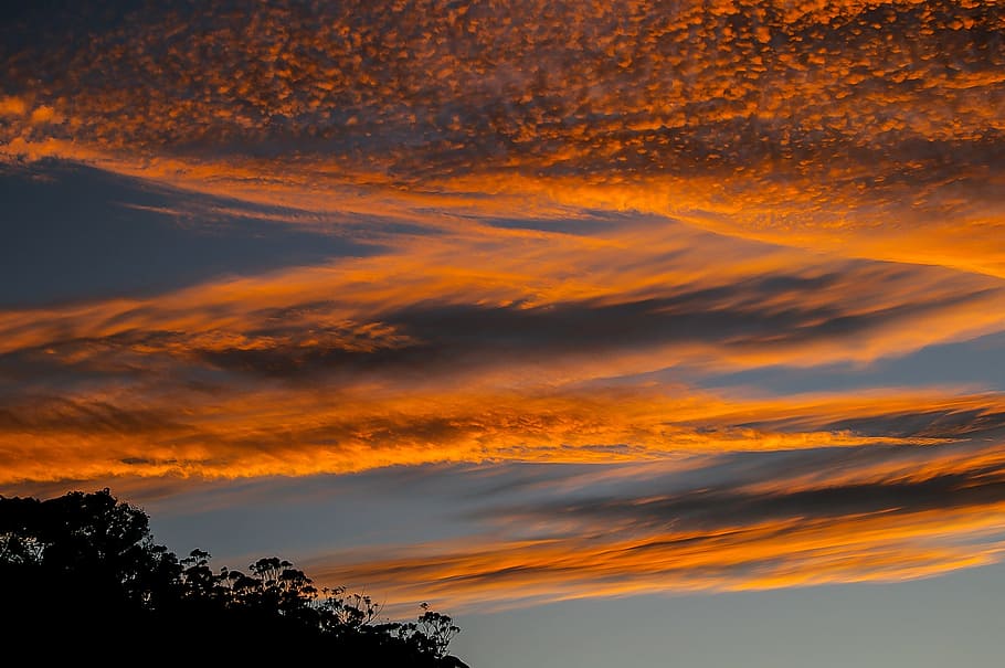 Sky, Clouds, Sunset, Orange, Golden, horizon, trees, australia HD wallpaper