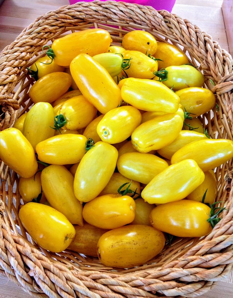 tomatoes, yellow, basket, ripe, organic, agriculture, food HD wallpaper