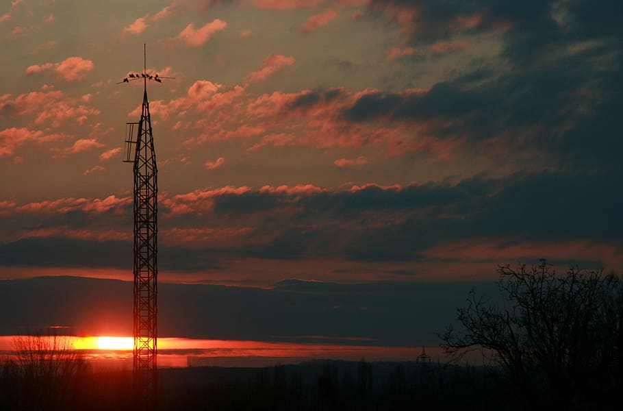 east, sun, cloud, red, pole, birds, tree, sky, sunset, cloud - sky HD wallpaper