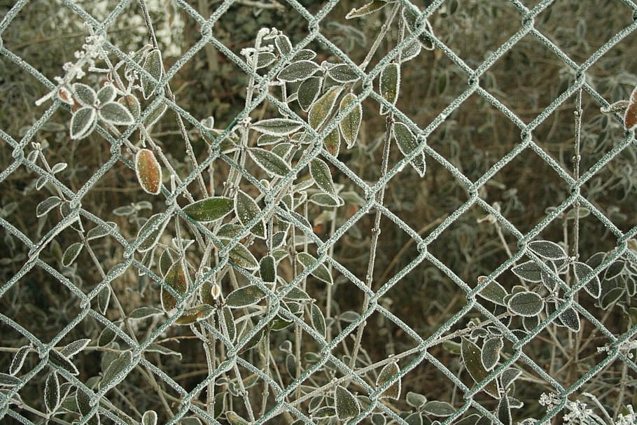 fence, pattern, background, iron, barrier, network, full frame HD wallpaper