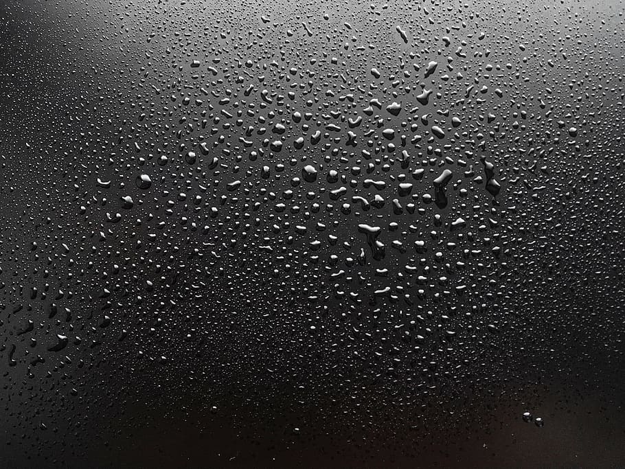 macro photography of water dew on black surface, water droplets HD wallpaper