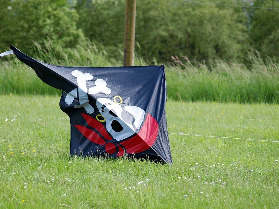 dragons, crashed, kids dragon, wind, kite flying, grass, flag HD wallpaper