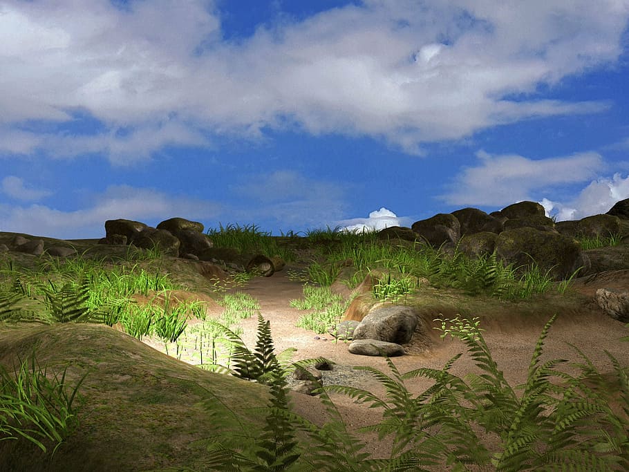 fern plants on brown soil during cloudy day, landscape, fantasy HD wallpaper
