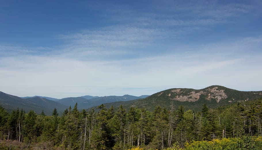 landscape, panoramic, view, hills, mountains, trees, forest HD wallpaper