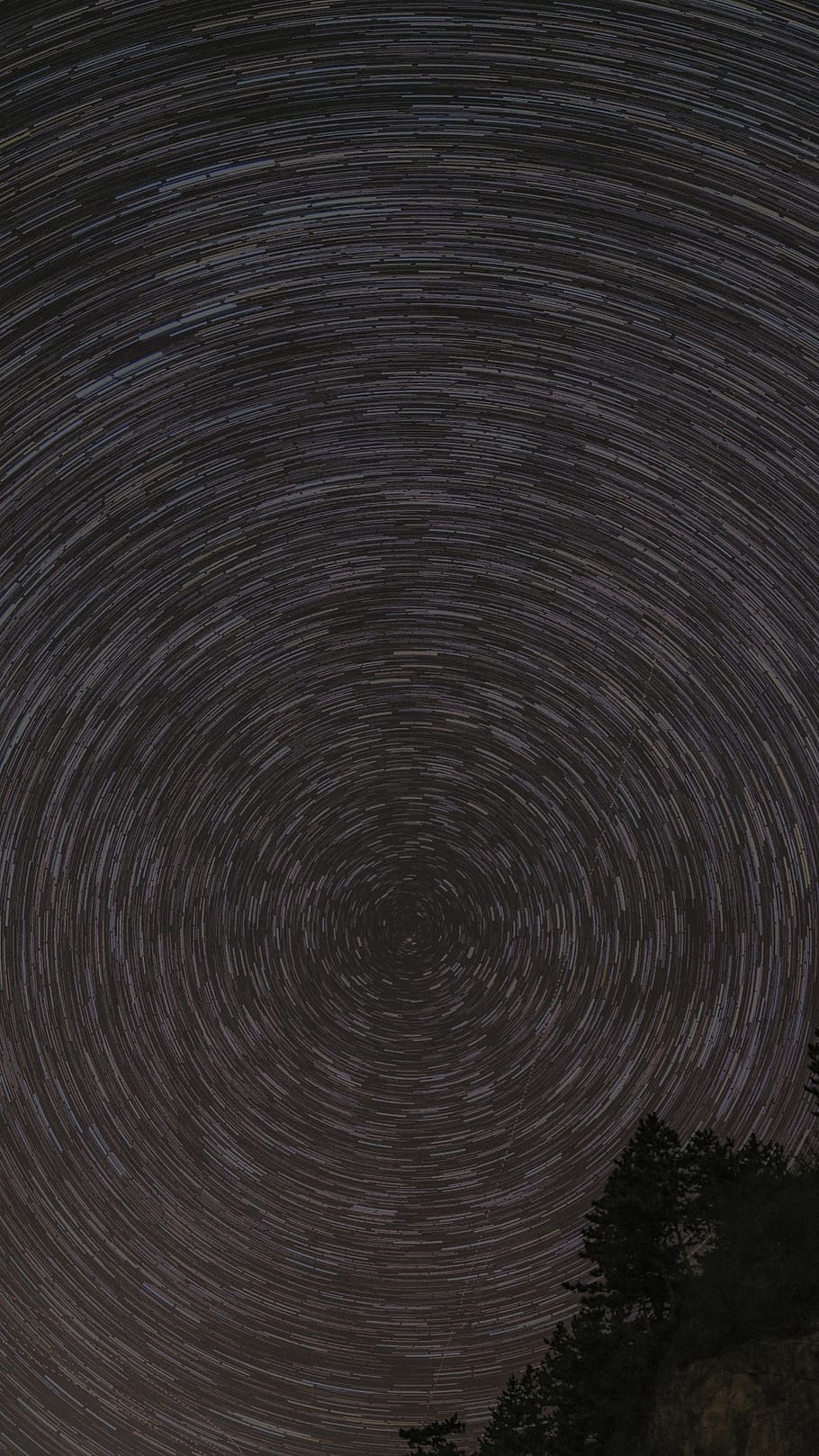 stars, night sky, space, star trail, long exposure, circle HD wallpaper