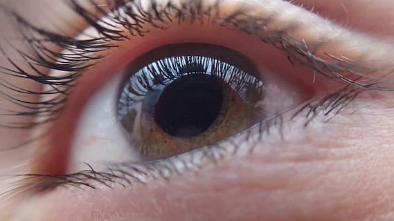 close up photograph human eye, face, vision, look, person, eyeball HD wallpaper