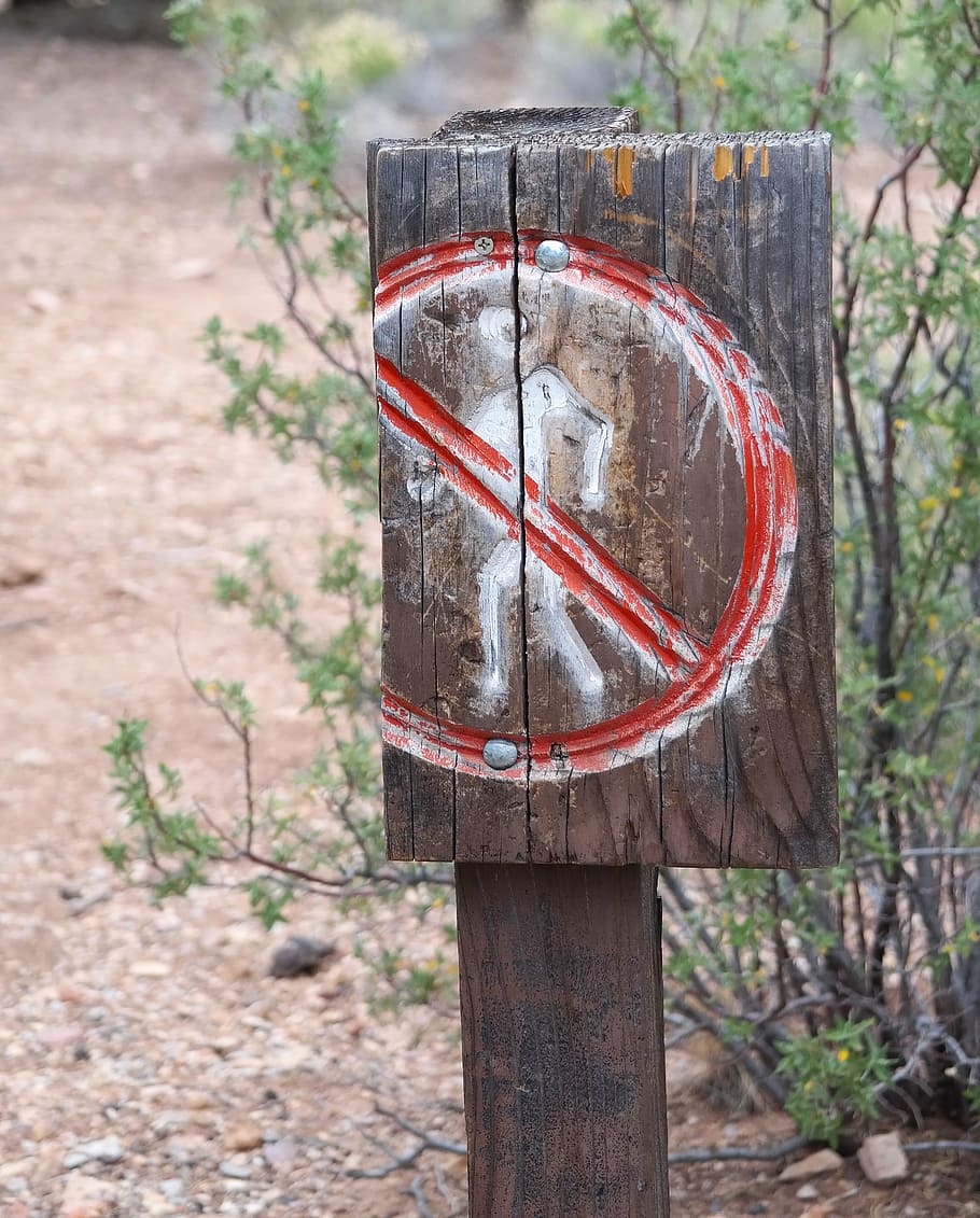 characters, wood, no path, broken, natural, usa, prohibited HD wallpaper