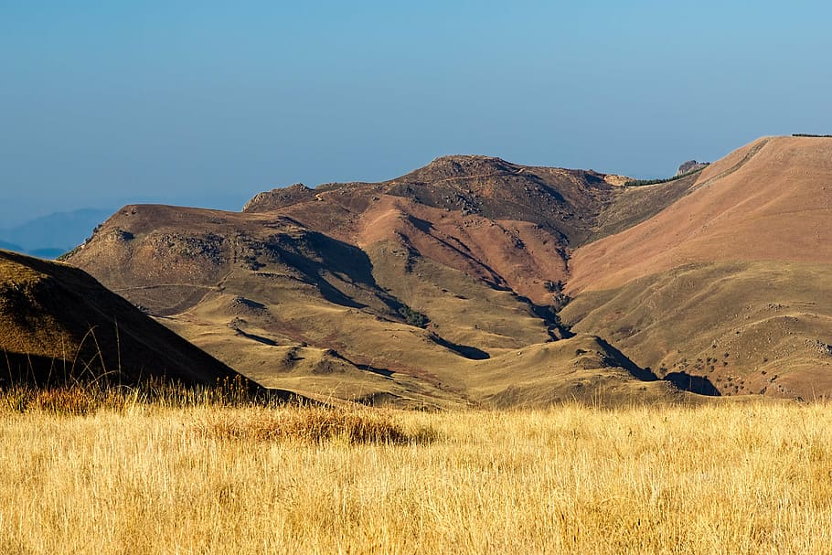 brown field near green hills at daytime, mountains, grassland HD wallpaper
