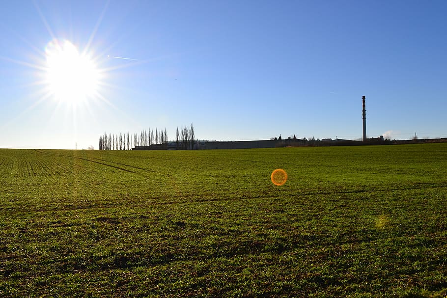 field, sun, heaven, landscape, grass, sky, sunny, panorama HD wallpaper