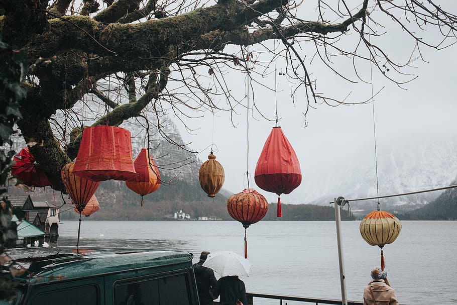 several paper lanterns on brown tree, several paper lanterns hanged on withered tree HD wallpaper