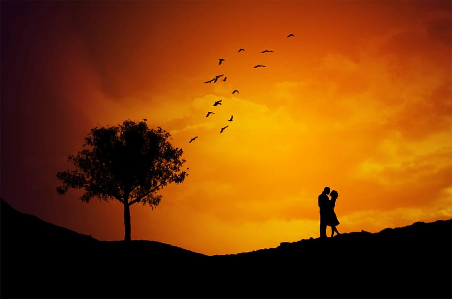 untitled, couple, love, kiss, landscape, tree, birds, sky, sunset