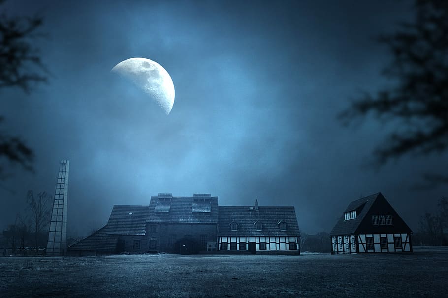 two black-and-white houses under half-moon during nighttime HD wallpaper