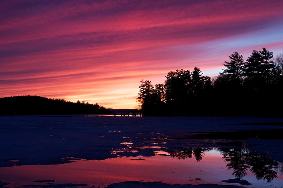 sunset, sunrise, lake, tree, water, sky, plant, scenics - nature HD wallpaper