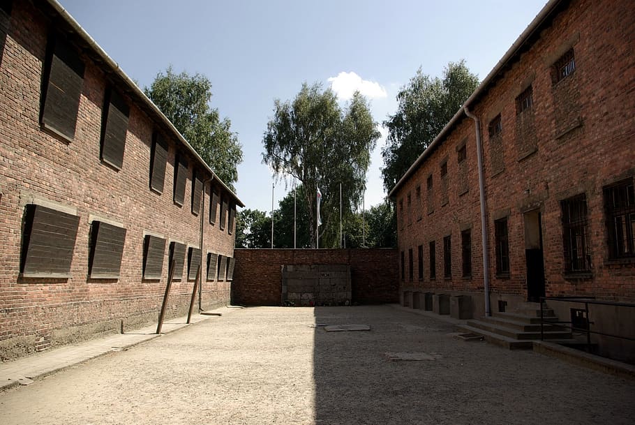 executed, wall of death, shooting, auschwitz-birkenau, concentration camp, HD wallpaper