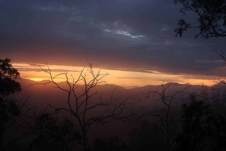 sunset, mist, evening, nature, landscape, fog, outdoor, autumn HD wallpaper