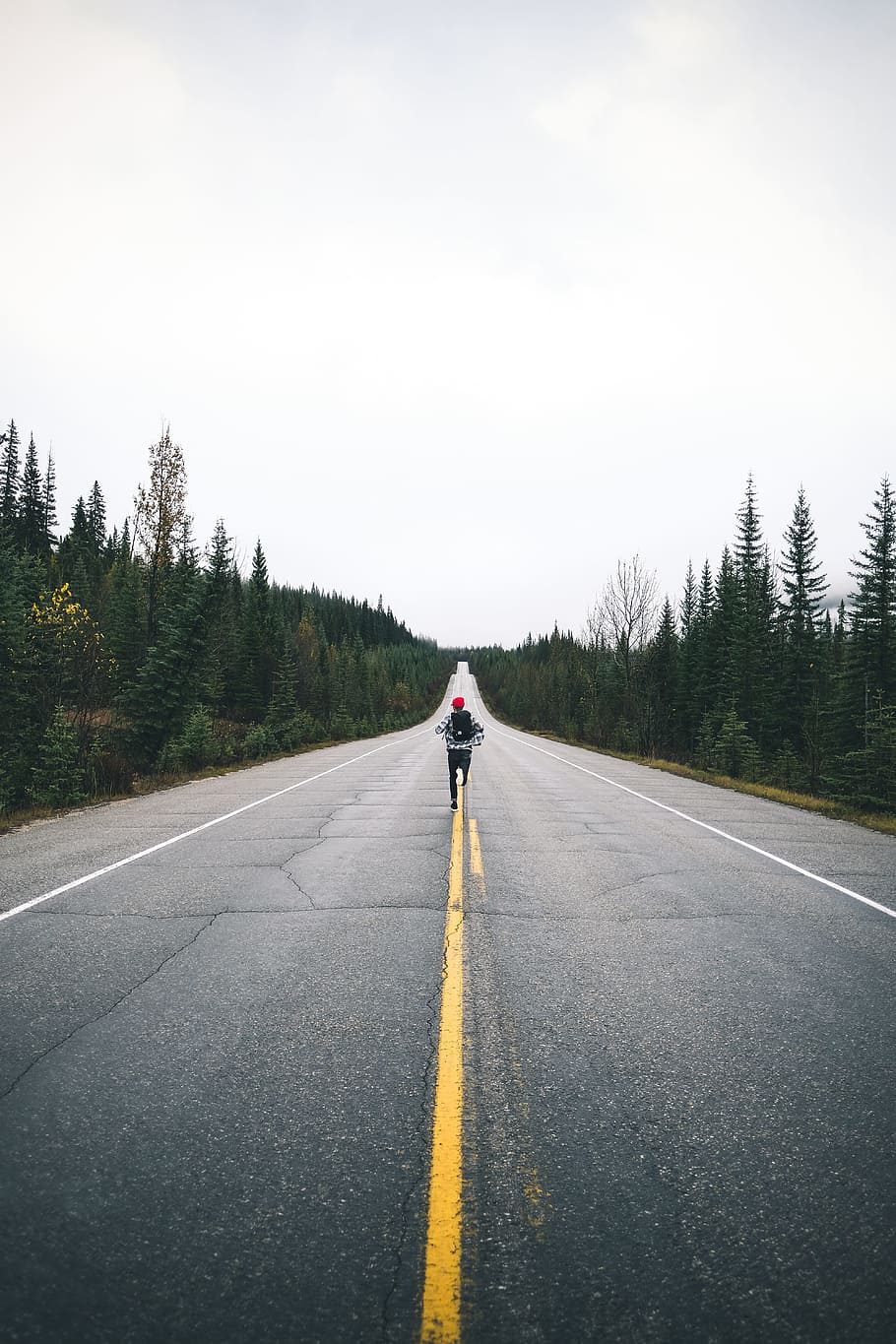 road, path, trees, plants, nature, grass, people, man, alone HD wallpaper