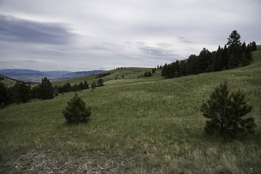 Looking across the grasslands on Mount Ascension, Helena, clouds HD wallpaper