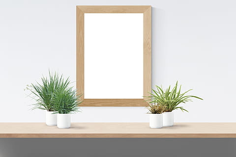 rectangular brown wooden frame wall decor and spider plant HD wallpaper