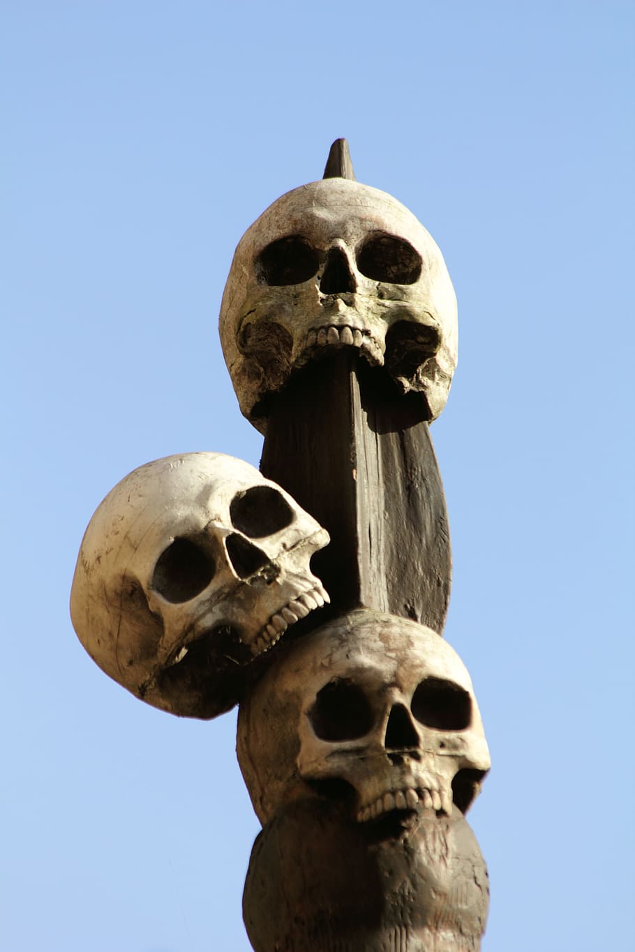 three skull on wooden finial, human, skulls, skeleton, head, death